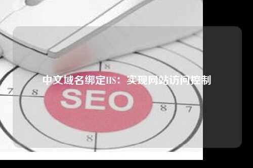中文域名绑定IIS：实现网站访问控制
