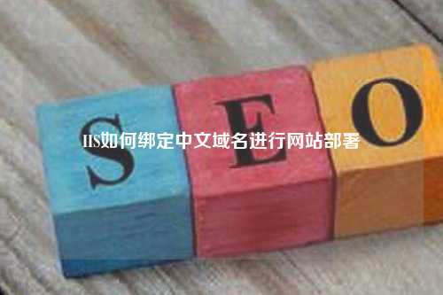 IIS如何绑定中文域名进行网站部署