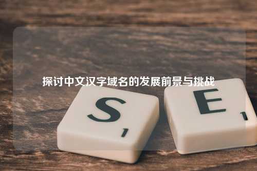 探讨中文汉字域名的发展前景与挑战