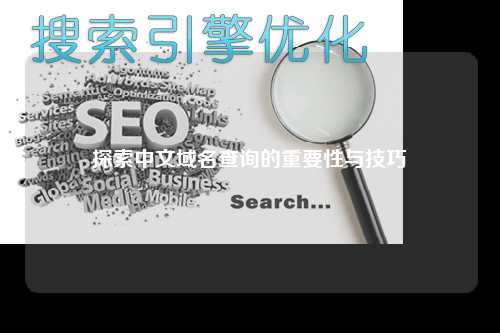 探索中文域名查询的重要性与技巧