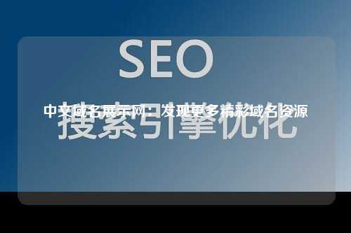 中文域名展示网：发现更多精彩域名资源