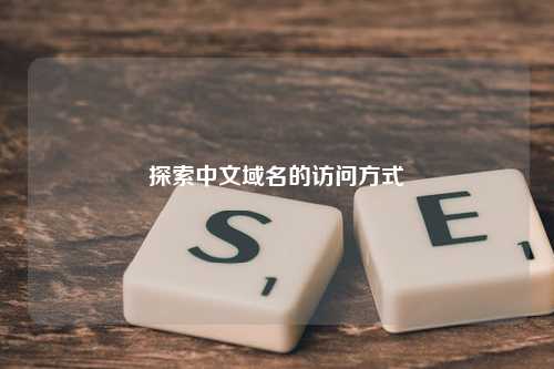 探索中文域名的访问方式