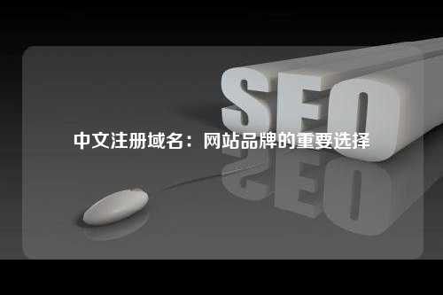 中文注册域名：网站品牌的重要选择