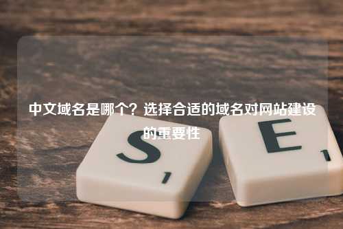 中文域名是哪个？选择合适的域名对网站建设的重要性